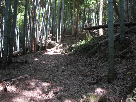 20140517hike (40)